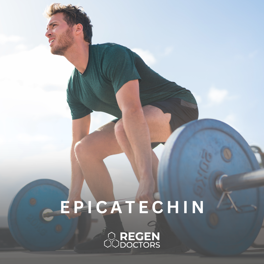 epicatechin-regen-doctors